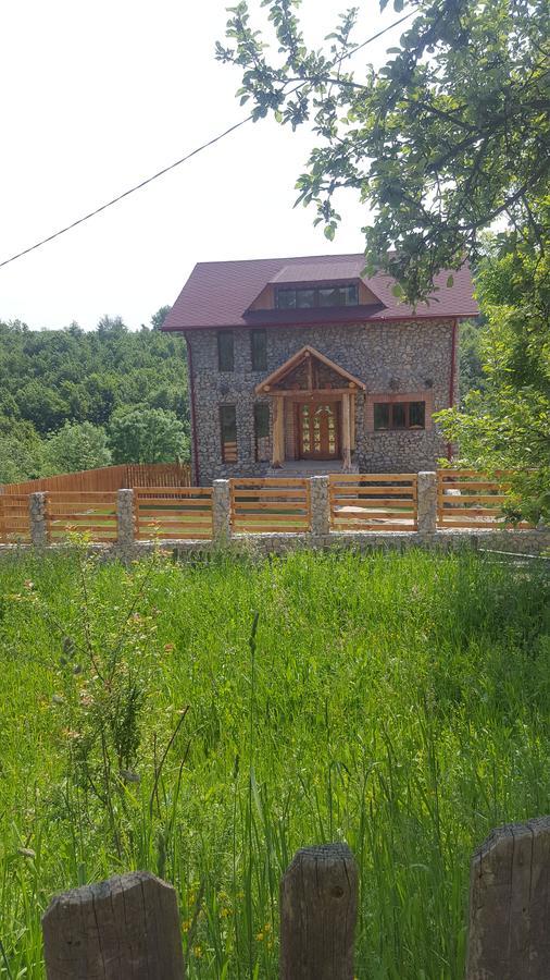 Casa Din Piatra Hotell Poiana  Eksteriør bilde