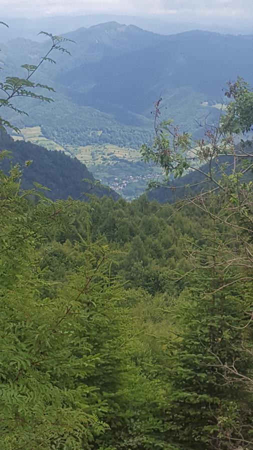 Casa Din Piatra Hotell Poiana  Eksteriør bilde